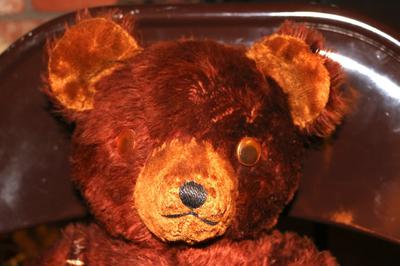Close up of bear with googley eyes