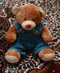 Dressed Teddy Bear picture by beggs Dressed Teddy Bear picture by beggs