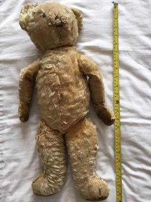 measuring a teddy bear