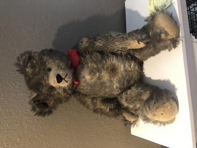 Hermann teddy bear ?