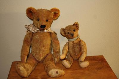 Two old teddy bears