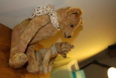 side view of two old teddy bears