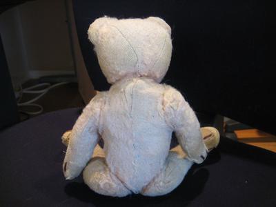 back view of bear