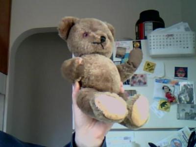 Possibly and early American teddy Bear