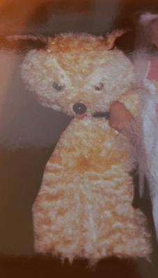 1970s Teddy Bear