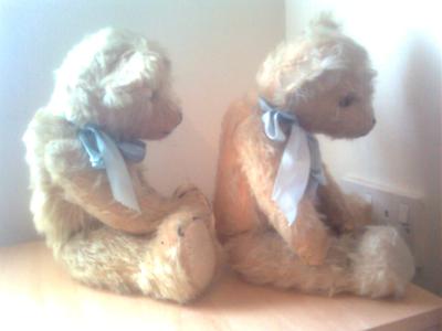 Side view of two old teddy bears