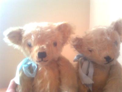 two cute old teddy bears