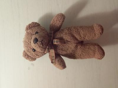 Front of teddy bear