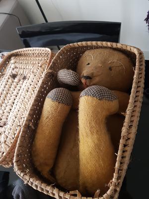 teddy in a basket teddy in a basket