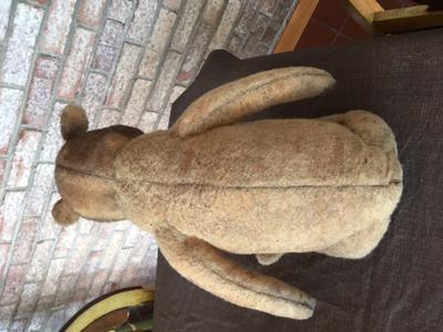 Back view of teddy bear