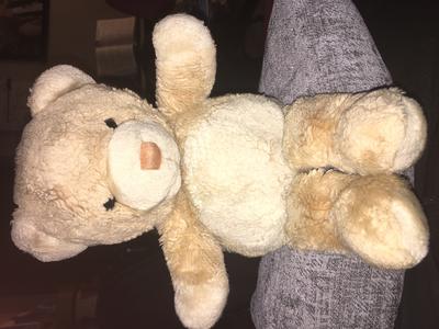 Light coloured teddy bear Light coloured teddy bear