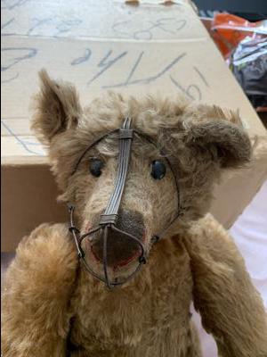 Lisa Luthy bear Lisa Luthy bear