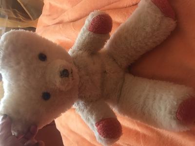 White teddy bear  White teddy bear