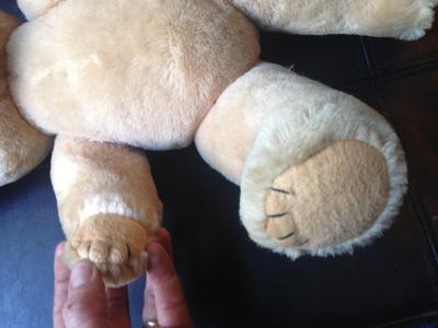 teddy bear paws