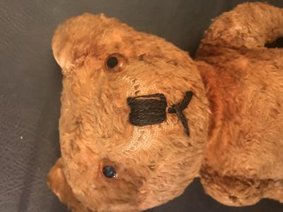 face of 1930's Brown Bear