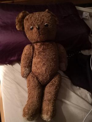 Brown Teddy Bear