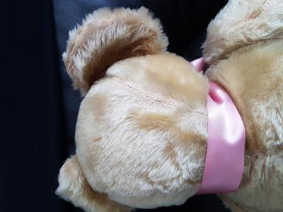 teddy bear with pink ribbon