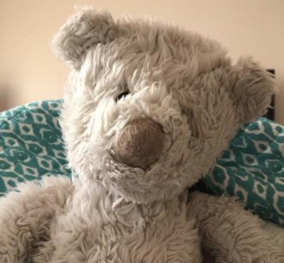 1990 teddy bear outlet