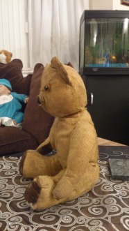 50 Year Old Teddy Bear side view