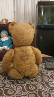 50 Year Old Teddy Bear back view