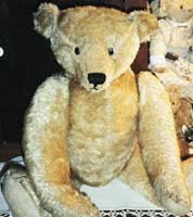 German Teddy Bear