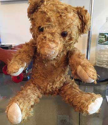 Scruffy Teddy Bear 