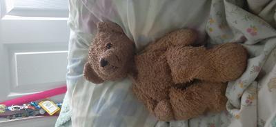 semi fluffy brown teddy 