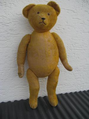 German Teddy Bear 