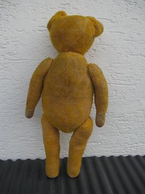 German Teddy Bear back view