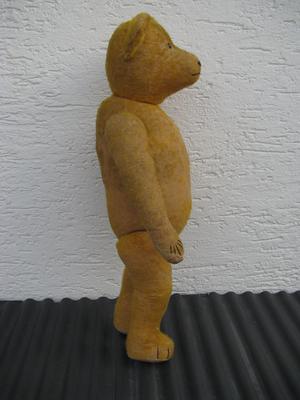 German Teddy Bear side view