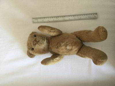 Attic find bear