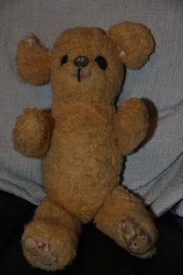 old australian teddy bear