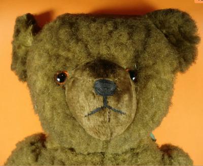 Bear from Bulgaria face
