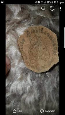 Teddy bear tag