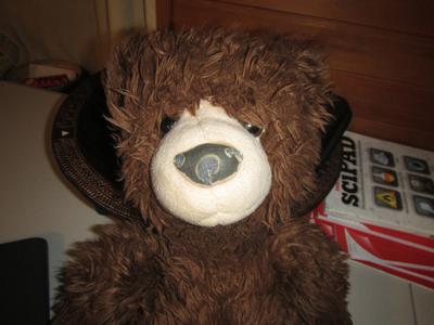 Face Bearnie-The Brown Bear
