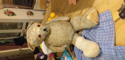 In need of repair teddy bear