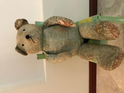 Blue Bear 75cm Long