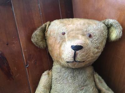 face of big teddy bear