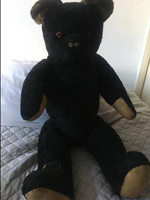  black large bear