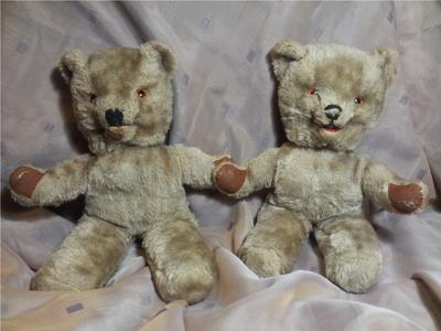Brother and Sister Bears