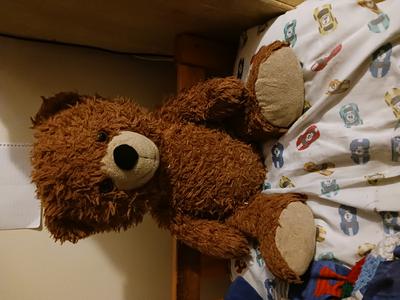 Find a sales teddy bear