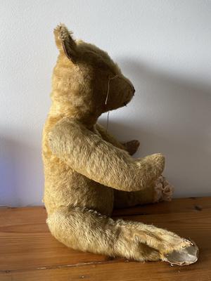 side view Australian teddy Bear