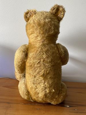 back view Australian teddy Bear