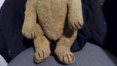 Lower Body of teddy bear