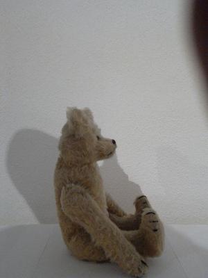 Side view of old teddy bear