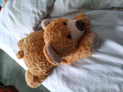 Toy Brown Bear