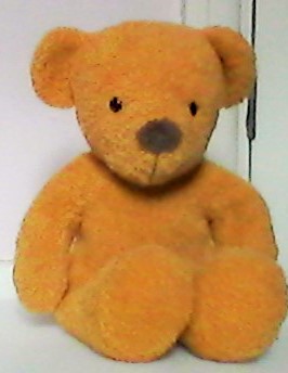 Teddy- front sitting view