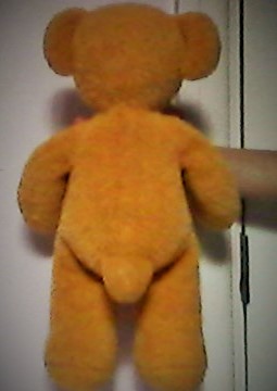 Teddy- back standing view