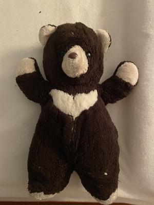 Dark Brown Teddy bear with white snout