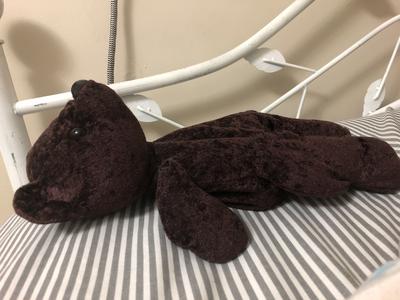 side view of dark teddy bear